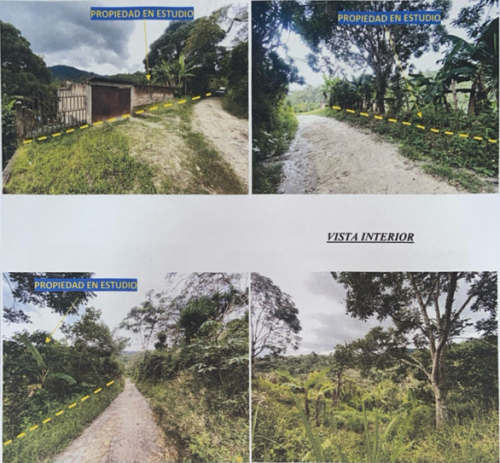 Captura de pantalla 2026 02 24 085340